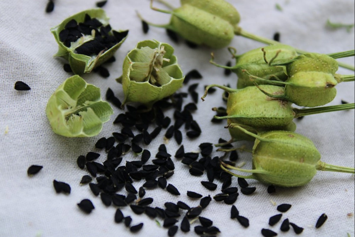 Black Seed Gummies