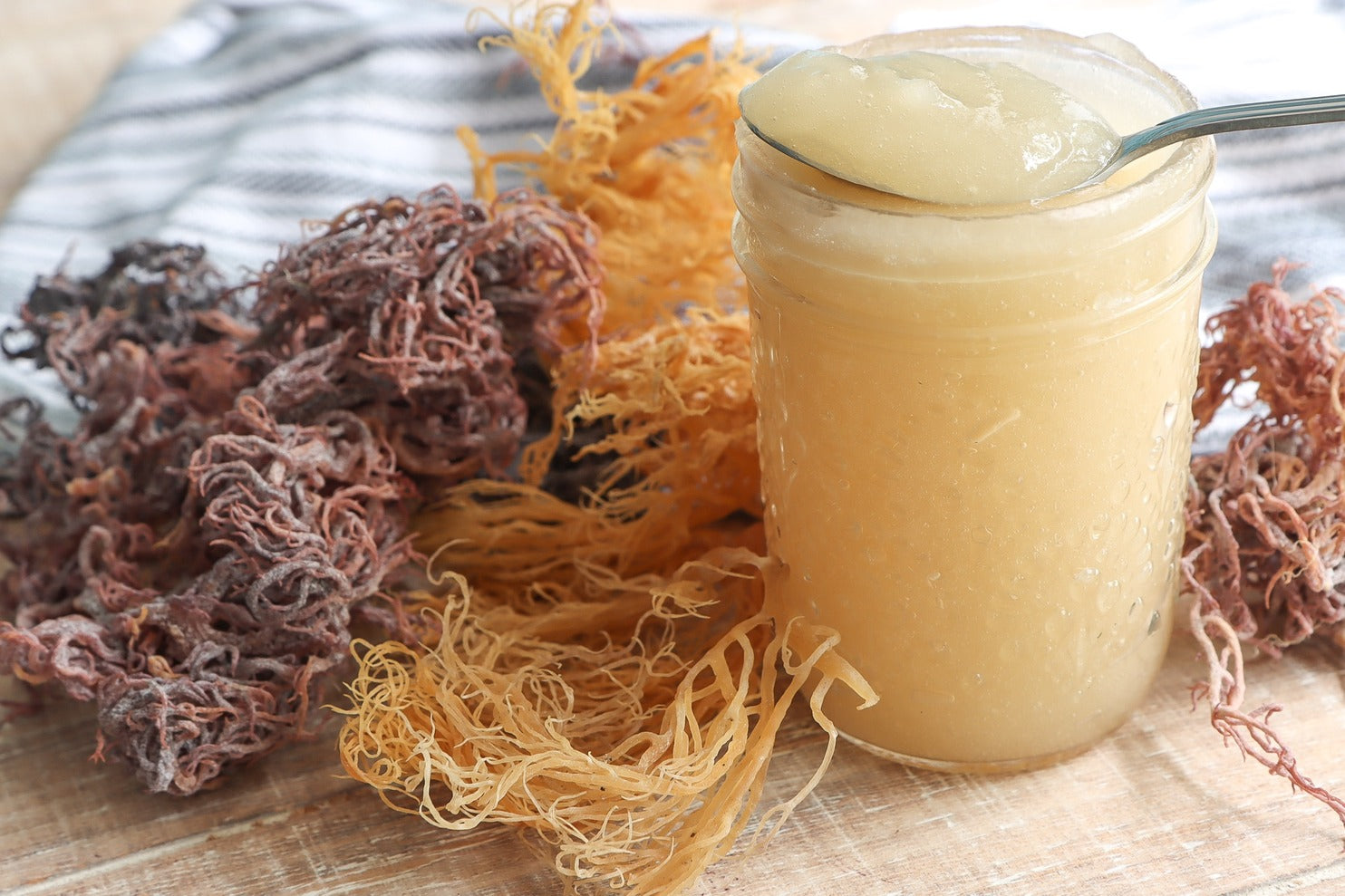 Sea Moss Gummies